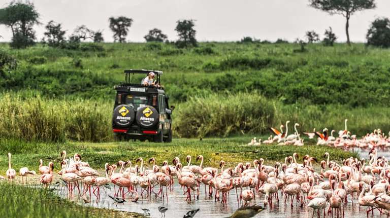 2-Day Lake Manyara & Ngorongoro Safari Tour trip - alternative tour available