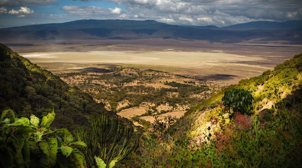 2-Day Lake Manyara & Ngorongoro Safari Tour - Altezza Travel - Tanzania - Image 2