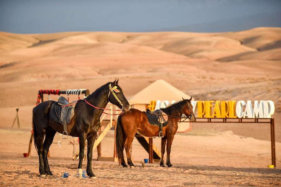 2‑day Medina Cycling, Agafay Desert & Ourika Saffron Experience - undefined - Image 21