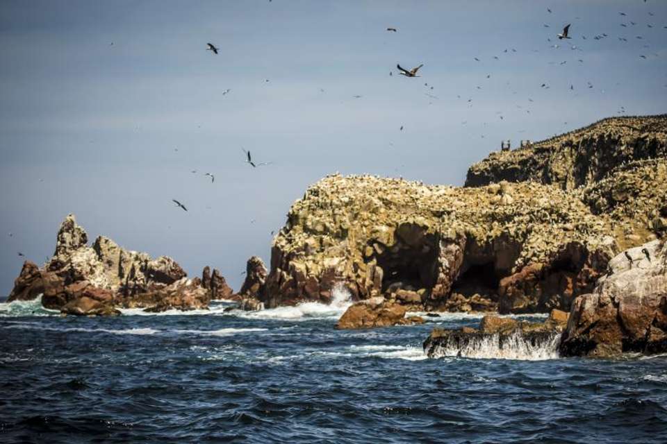 2-Day Nazca Lines and Ballestas Islands from Lima - Tangol Tours - Peru - Image 8
