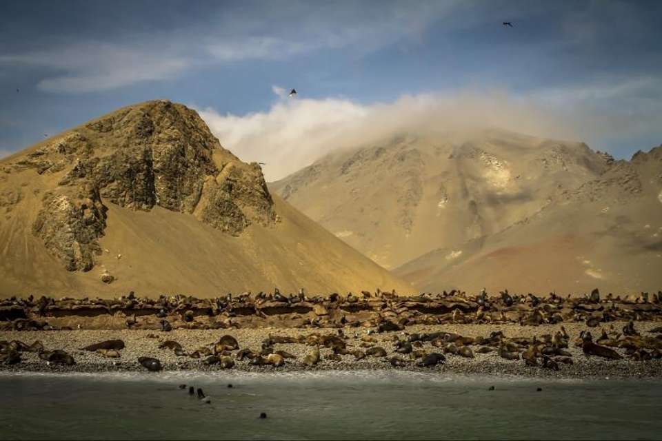 2-Day Nazca Lines and Ballestas Islands from Lima - Tangol Tours - Peru - Image 4