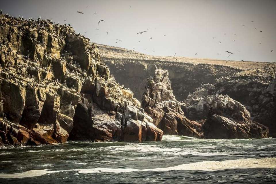 2-Day Nazca Lines and Ballestas Islands from Lima - Tangol Tours - Peru - Image 5