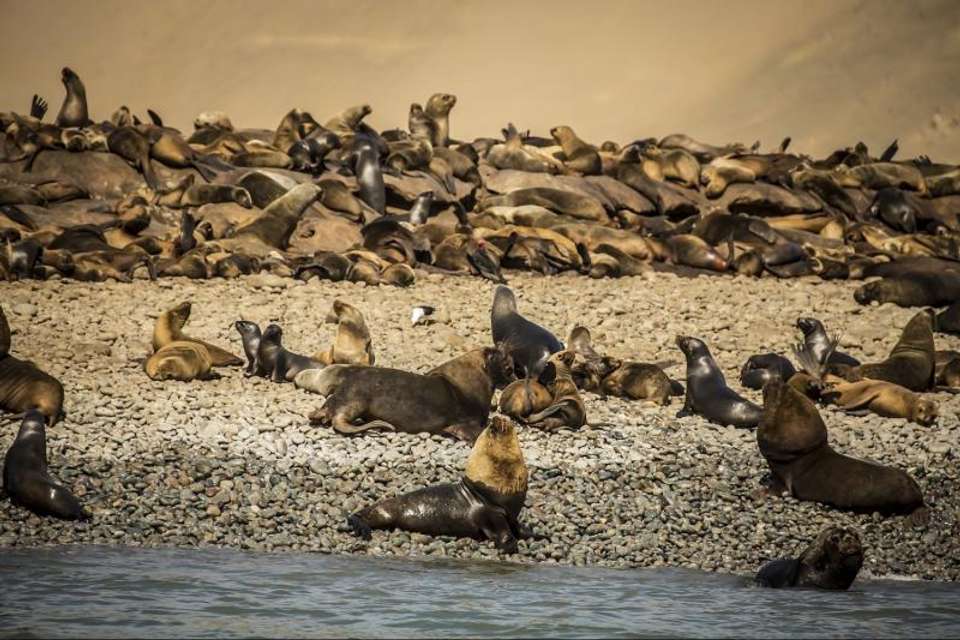 2-Day Nazca Lines and Ballestas Islands from Lima - Tangol Tours - Peru - Image 6