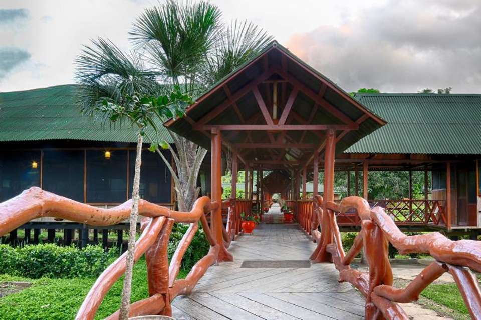 2-day Ecolodge Experience In Tambopata - Tangol Tours - Peru - Image 3