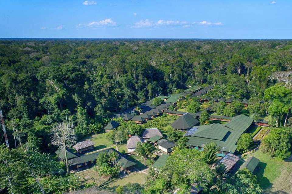 2-day Ecolodge Experience In Tambopata - Tangol Tours - Peru - Image 4