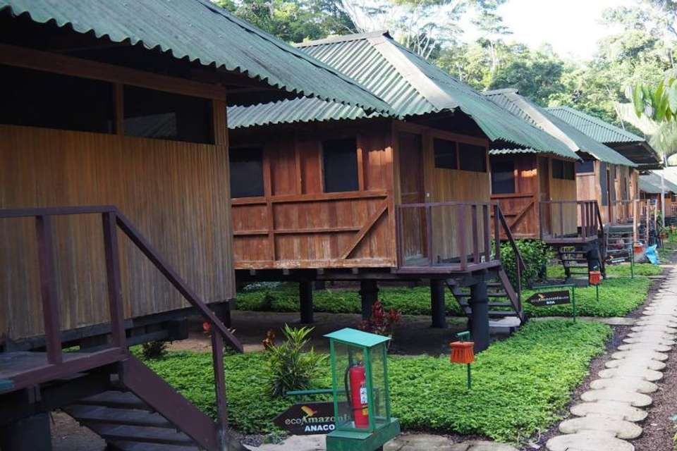 2-day Ecolodge Experience In Tambopata - Tangol Tours - Peru - Image 6