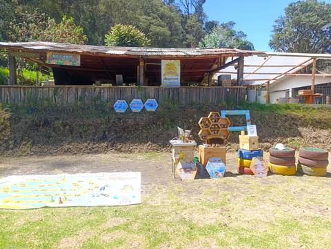 South America Budget Tours: 2-day Private Bogotá Experience: Ancient Traditions, Living Communities & Biodiversity