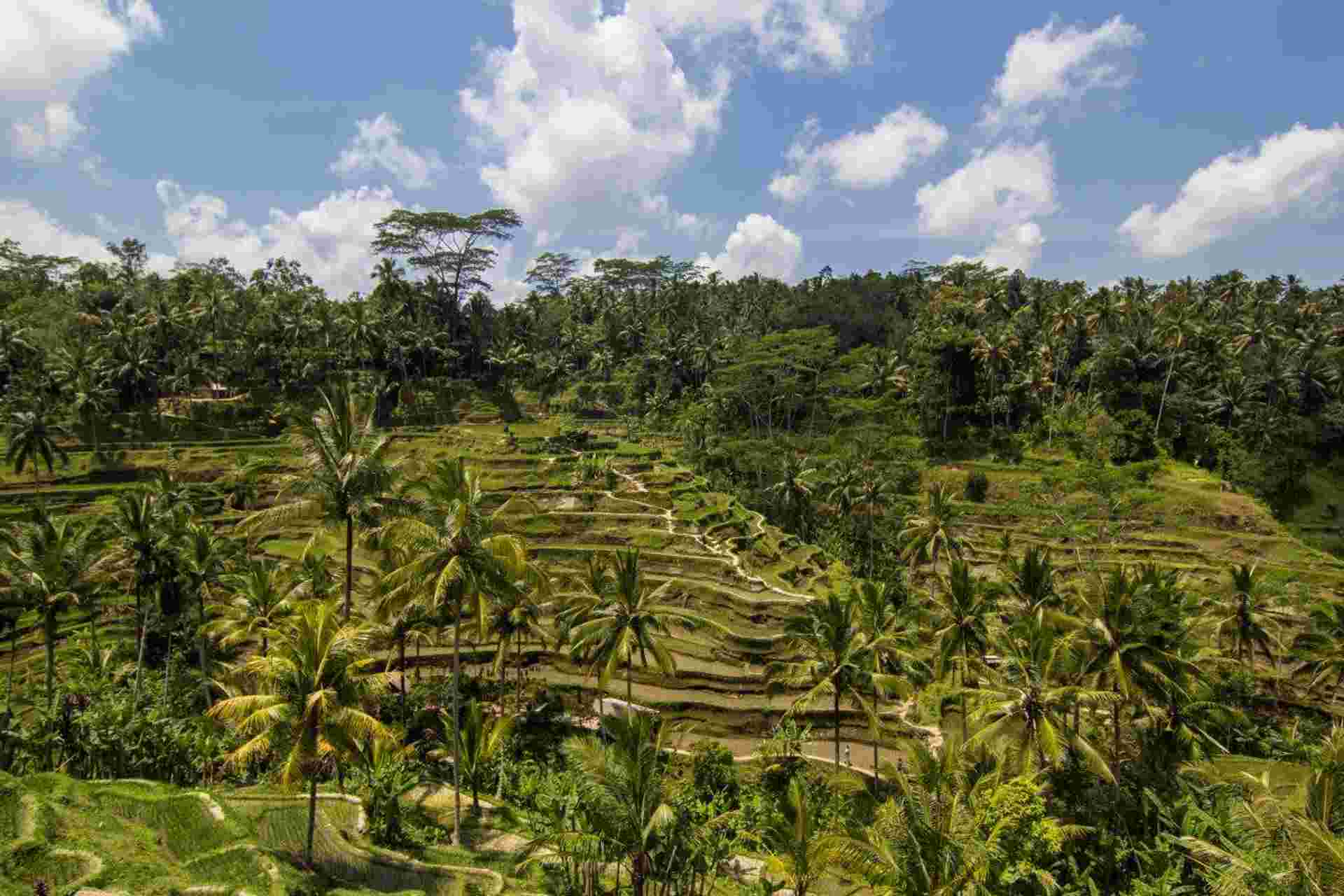 2-day Private East Bali Discovery