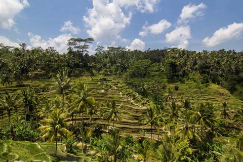 Active And Outdoor Tour: 2-day Private East Bali Discovery