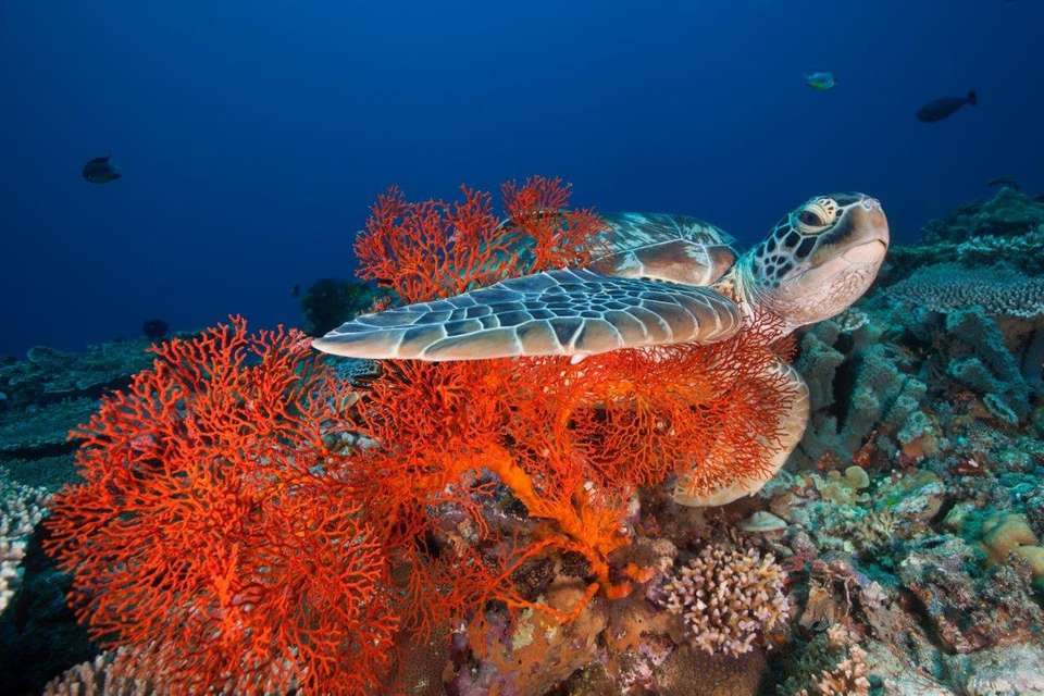2-day Private East Bali Discovery - Destination Services - Indonesia - Image 2