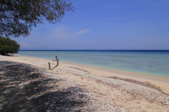 Image 4 of 6