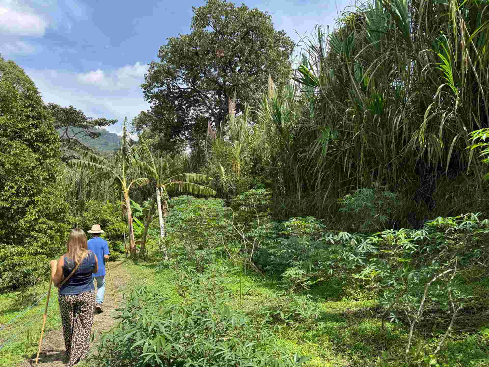 2-day Private Medellín Cultural Experience: From Coffee Traditions To Urban Beats