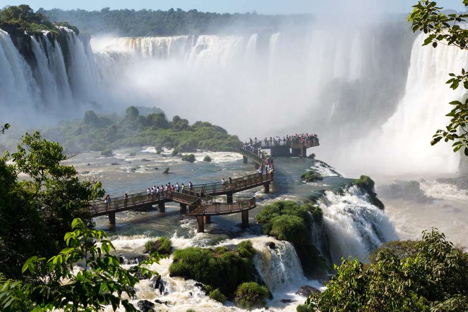 2-day Private Roots Of The Rainforest: Guaraní Heritage, Mate & Wildlife Rescue - undefined - Image 2