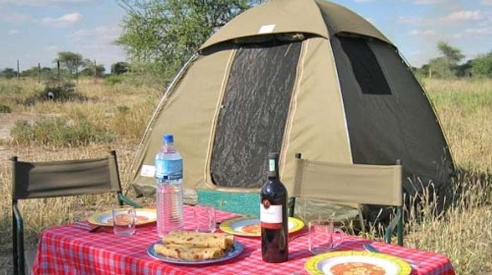 2-Day Tanzania Camping Safari - Dahlia Africa - Tanzania - Image 3