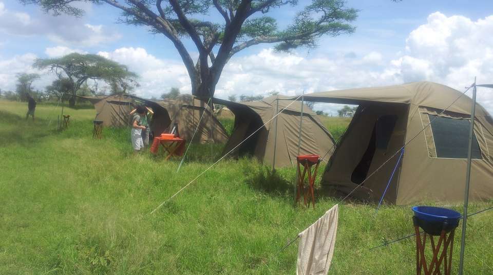 2-Day Tanzania Camping Safari - Dahlia Africa - Tanzania - Image 4