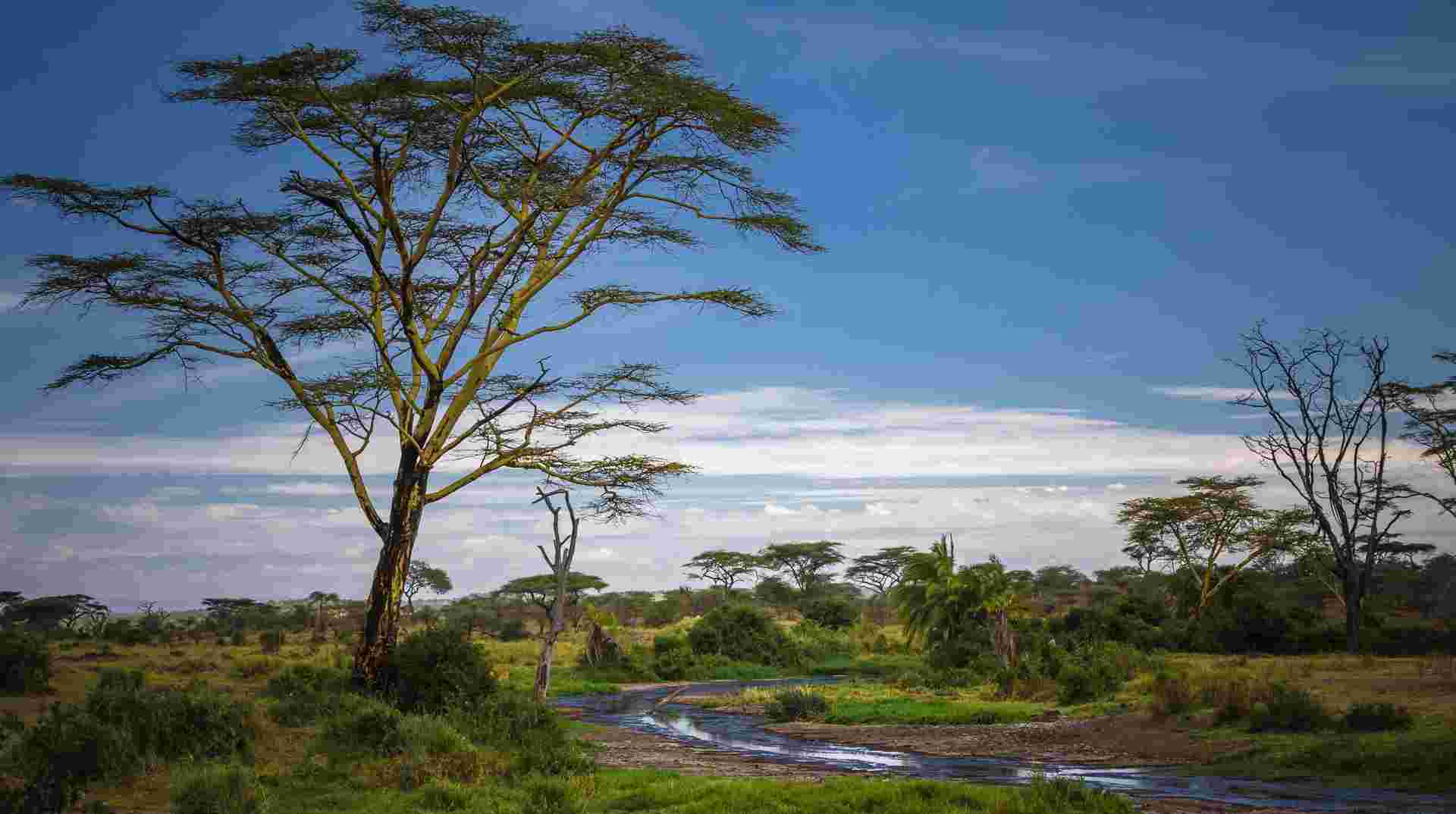 2-Day Tarangire & Lake Manyara Safari Tour