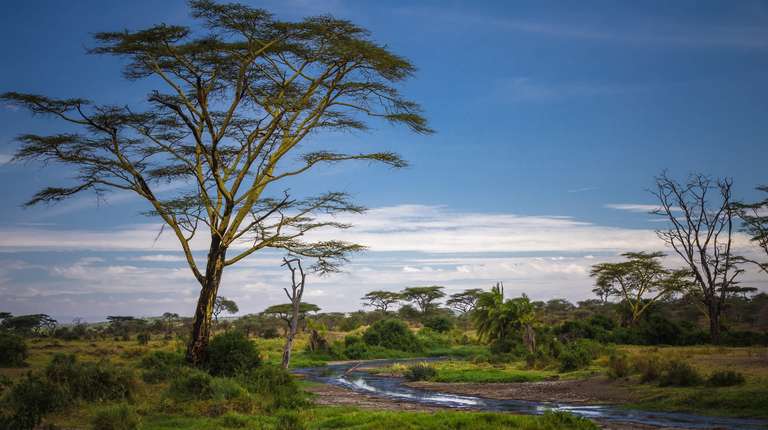 2-Day Tarangire & Lake Manyara Safari Tour trip - alternative tour available