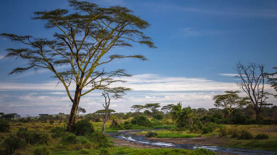 2-Day Tarangire & Lake Manyara Safari Tour - Altezza Travel - Tanzania - Image 1