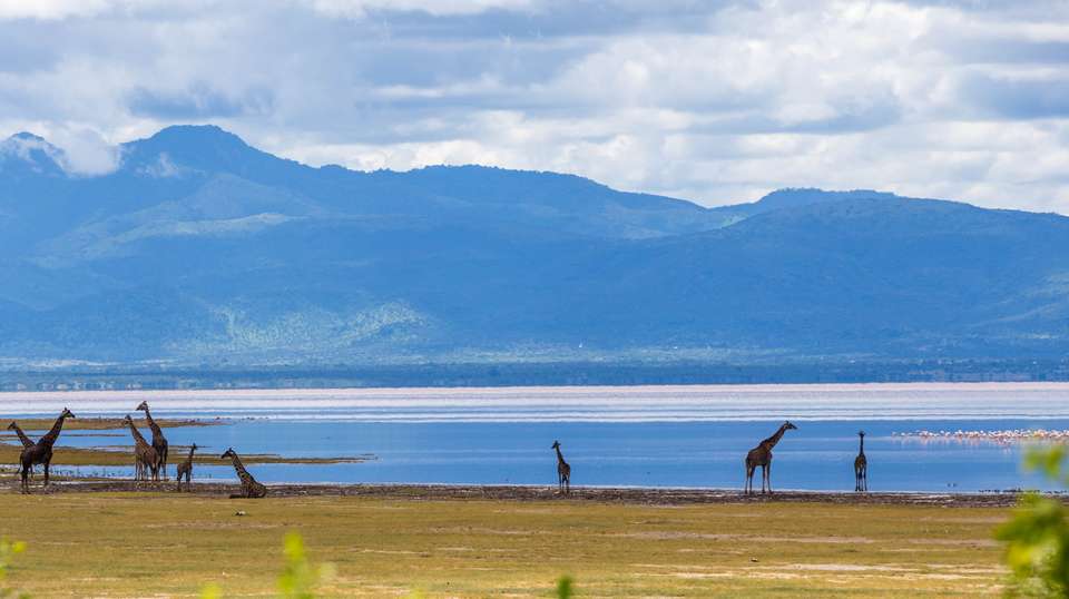 2-Day Tarangire & Lake Manyara Safari Tour - Altezza Travel - Tanzania - Image 2