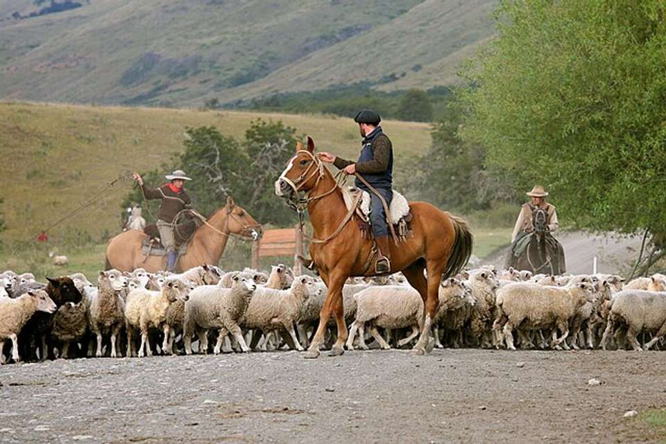 2-day The Spirit Of Patagonia: Ice Fields & Ranch Life - undefined - Image 7