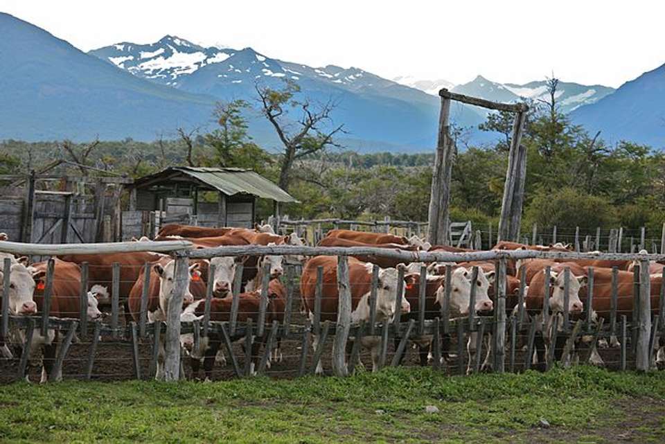 2-day The Spirit Of Patagonia: Ice Fields & Ranch Life - undefined - Image 11