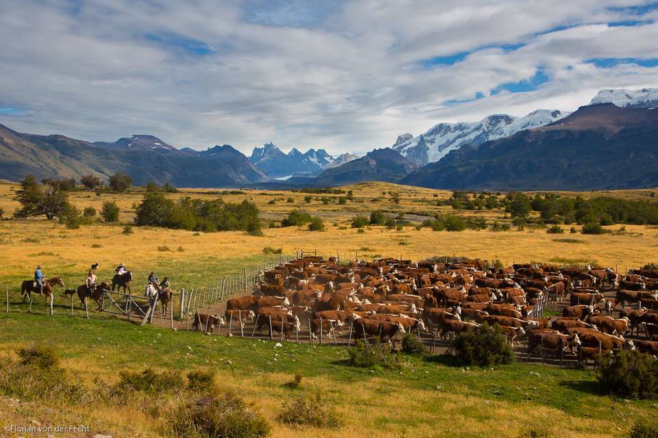2-day The Spirit Of Patagonia: Ice Fields & Ranch Life - undefined - Image 13