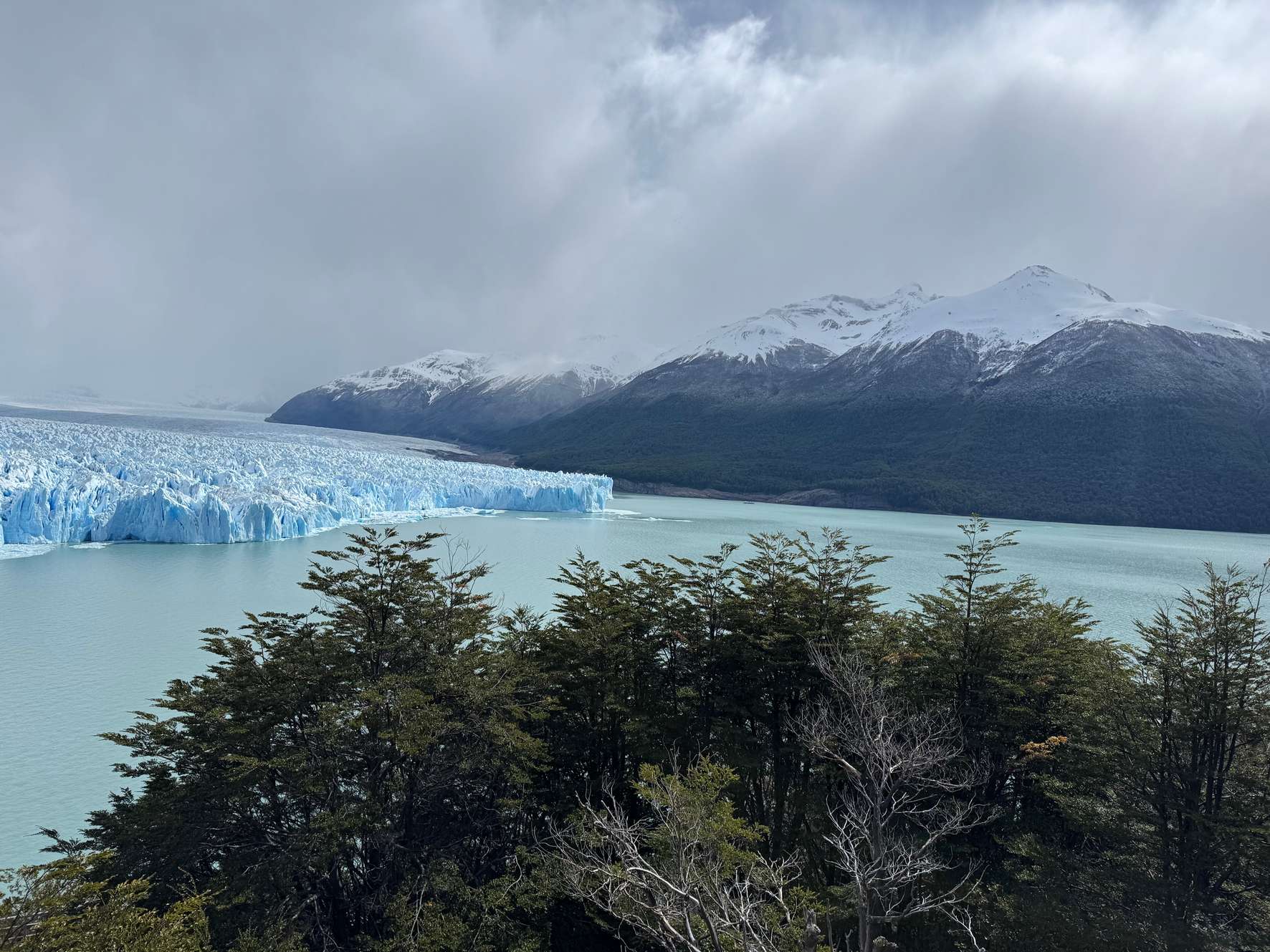 Image 1 of 8