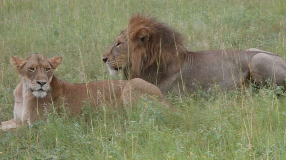 2 Day Tour of Queen Elizabeth National Park - Gorilla Tour Booking Safaris Ltd - Uganda - Image 2