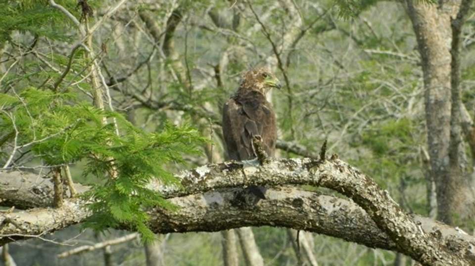 2 Day Tour of Queen Elizabeth National Park - Gorilla Tour Booking Safaris Ltd - Uganda - Image 5