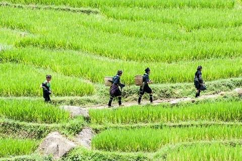 2-day Trekking And Motorbike In Ba Be National Park