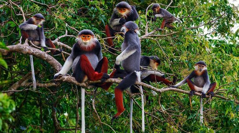2 Days, 1 Night 'Live the Wildlife' Tour in Da Nang trip - alternative tour available