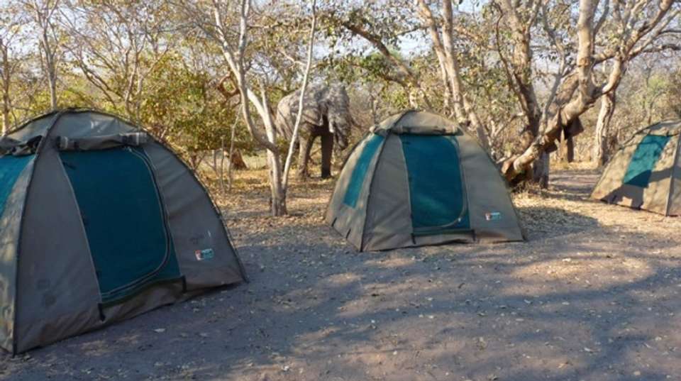2 Days and 1Night Camping Safari - Dk Tours & Safaris - Botswana