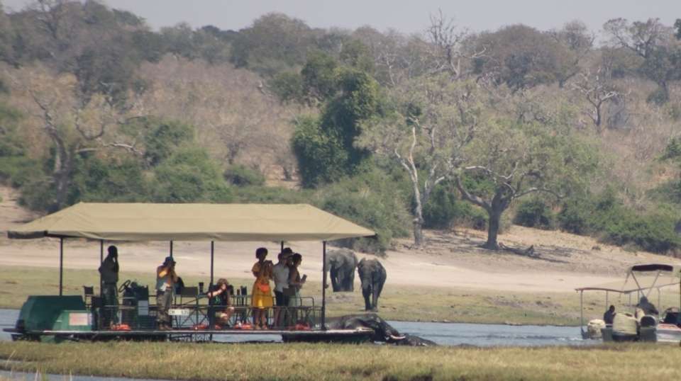 2 Days and 1Night Camping Safari - Dk Tours & Safaris - Botswana