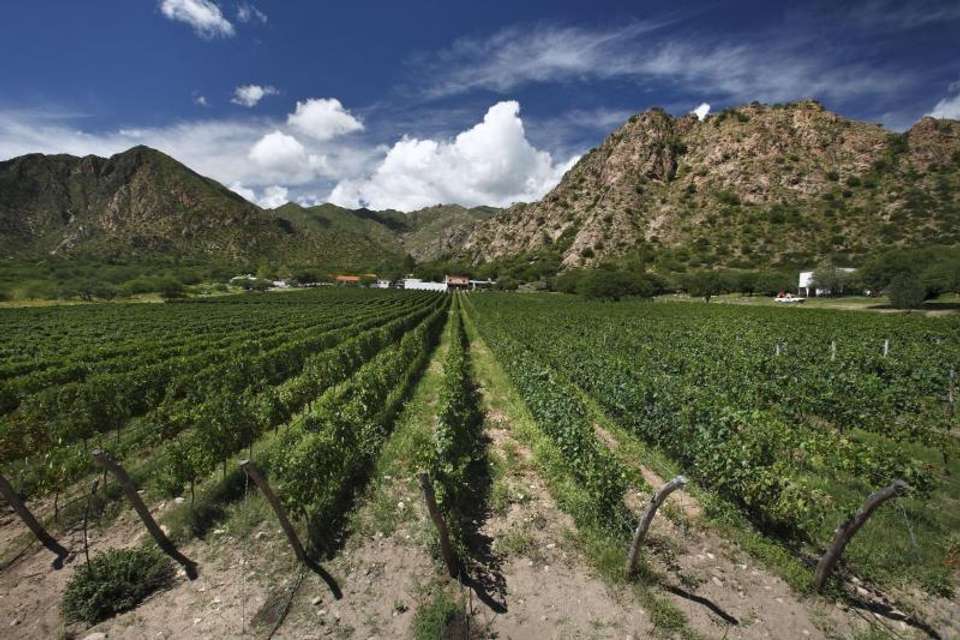 2 Days Journey to the Calchaquies Valleys - Tangol Tours - Argentina - Image 2