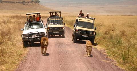 2 Days Safari - Manyara And Ngorongoro - July 2026