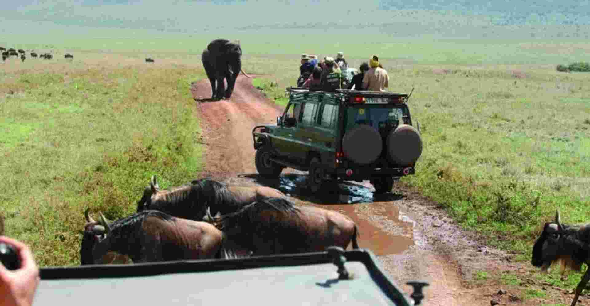2 Days Safari - Tarangire and Ngorongoro