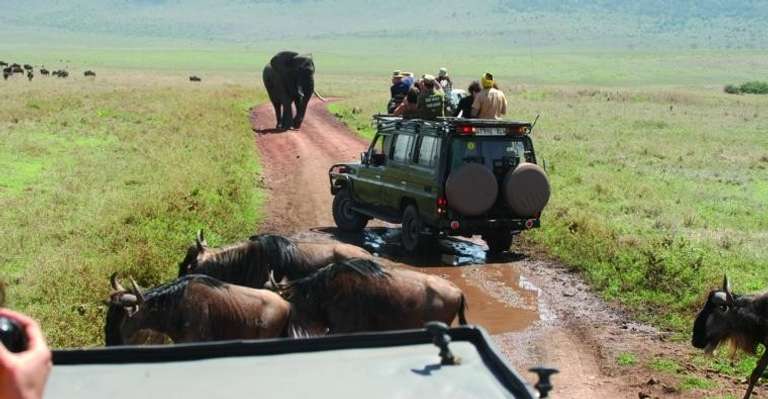 2 Days Safari - Tarangire and Ngorongoro trip - alternative tour available