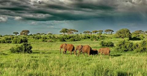 Ngorongoro Crater Adventure Tour: 2 Days Tarangire And Ngorongoro Wildlife Safari