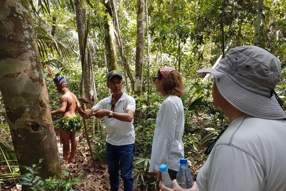 2 Nights Package in Amazon Jungle with Fan - Tangol Tours - Brazil - Image 7