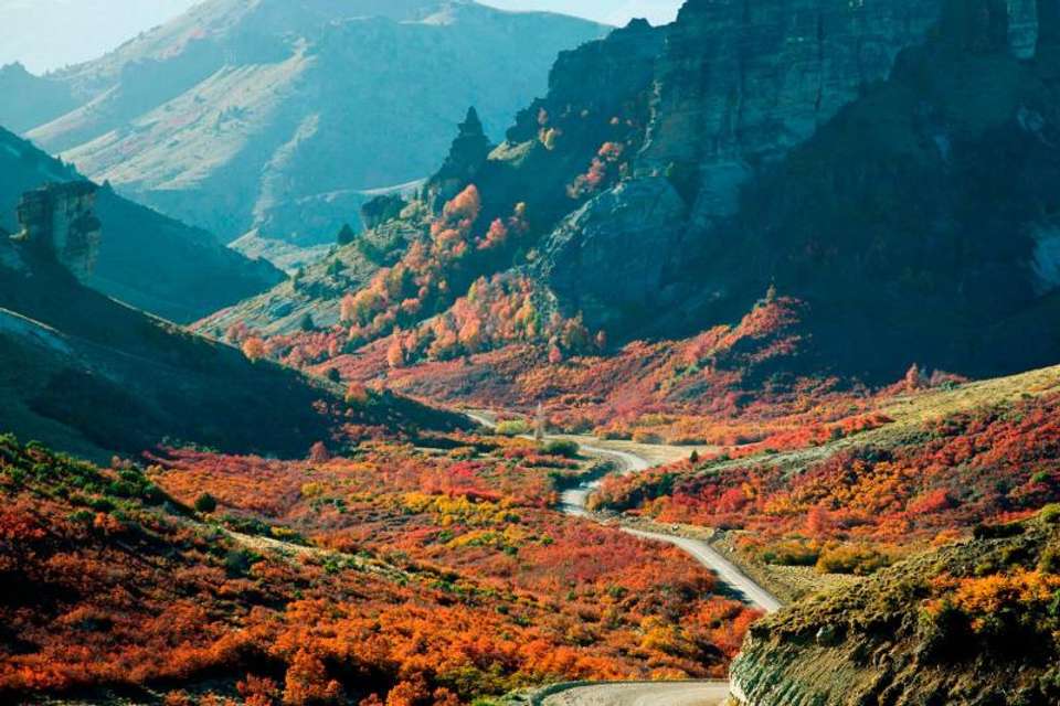 20-Day Complete Patagonia & Iguazu Tour - Tangol Tours - Argentina - Image 6
