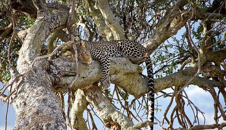 21-day Victoria Falls to Serengeti Accommodated trip - alternative tour available