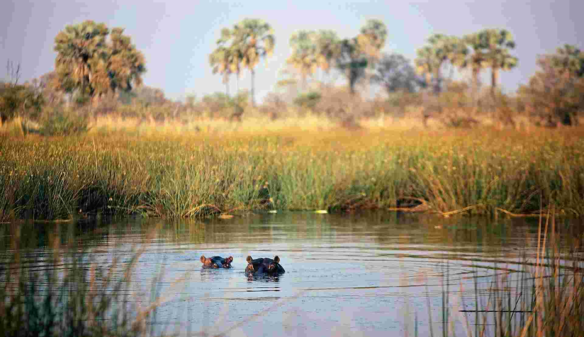 25-day Cape Town to Victoria Falls  Kruger Accommodated