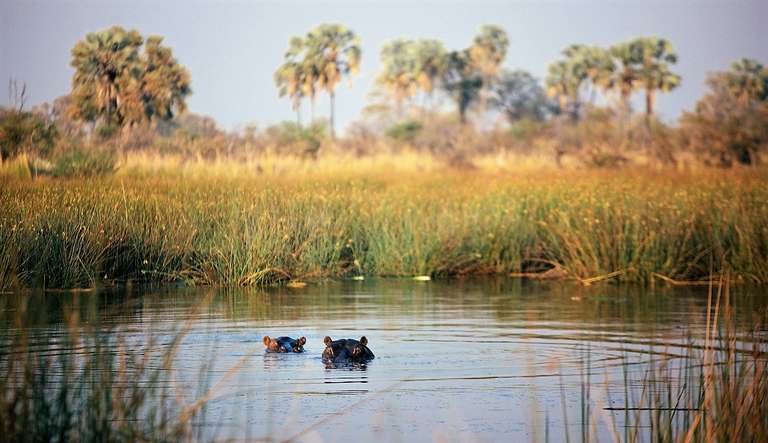 Pretoria Explorer Tour: 25-day Cape Town to Victoria Falls  Kruger Accommodated