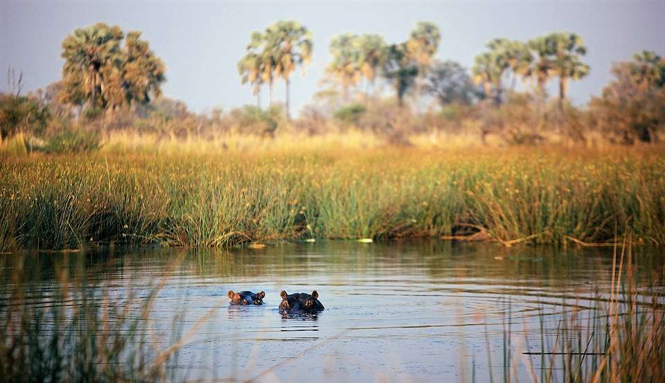 25-day Cape Town to Victoria Falls Kruger Accommodated - Acacia Africa - South Africa - Image 1