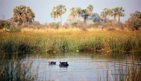 Windhoek Wildlife Tour: 25-day Cape Town To Victoria Falls Kruger Accommodated