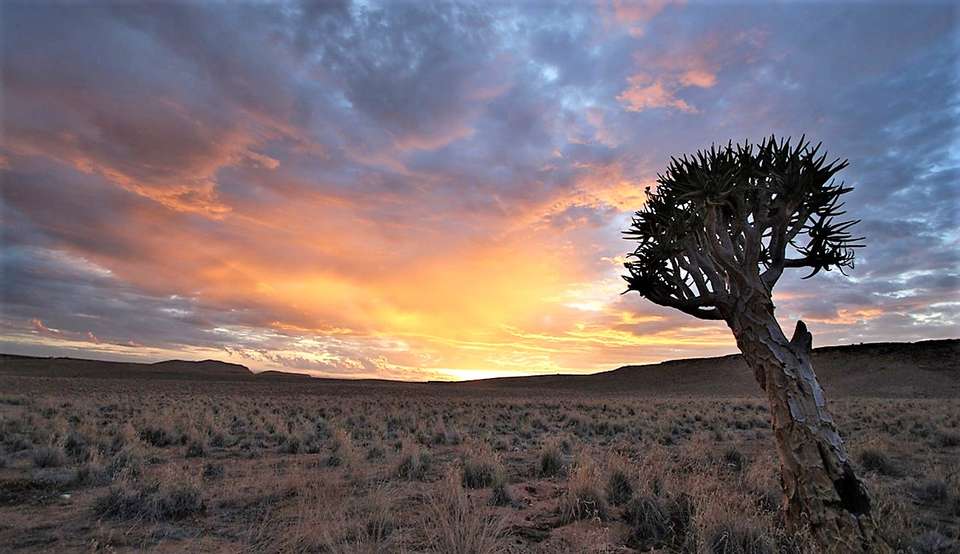 25-day Cape Town to Victoria Falls  Kruger Camping - Acacia Africa - South Africa