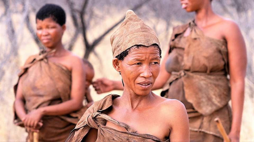 25-day Kruger Victoria Falls to Cape Town Camping - Acacia Africa - South Africa - Image 5