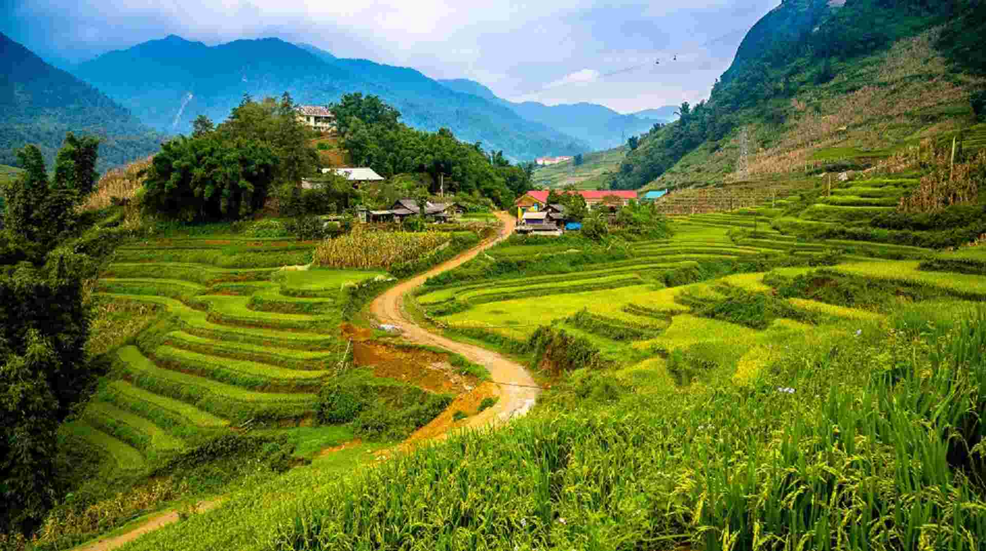 2D1N Sapa Trekking Tour with Local Homestay Experience