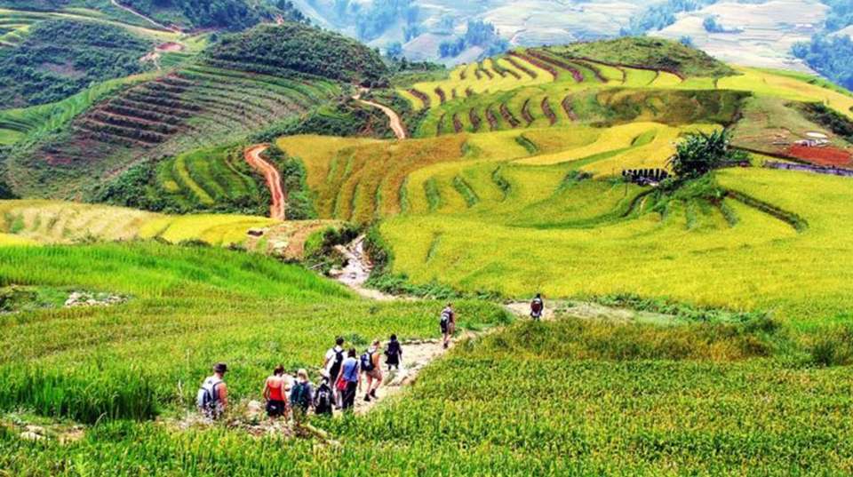 2D1N Sapa Trekking Tour with Local Homestay Experience - Go Asia Travel - Vietnam - Image 2