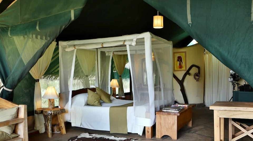 2Days Amboseli Luxury Safari - Gracepatt Ecotours Kenya - Kenya - Image 5